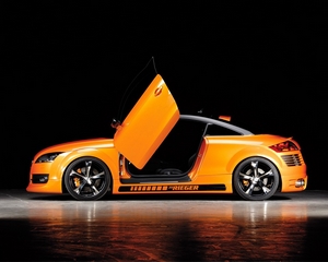 Аэродиномический обвес Rieger Audi TT (2006-2010 г.в.)