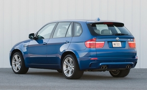Расширители колесных арок (задние) BMW X5M (E70)