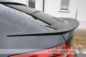 Спойлер крышки багажника SRS-Tec для BMW X6 (E71)