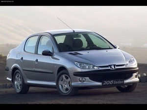 Защита картера и КПП Peugeot 206 2006-2012 г.в.